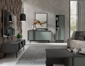 Półka wisząca na książki 110 cm ALSY - antracyt/aloes | Półki wiszące Desire Furniture