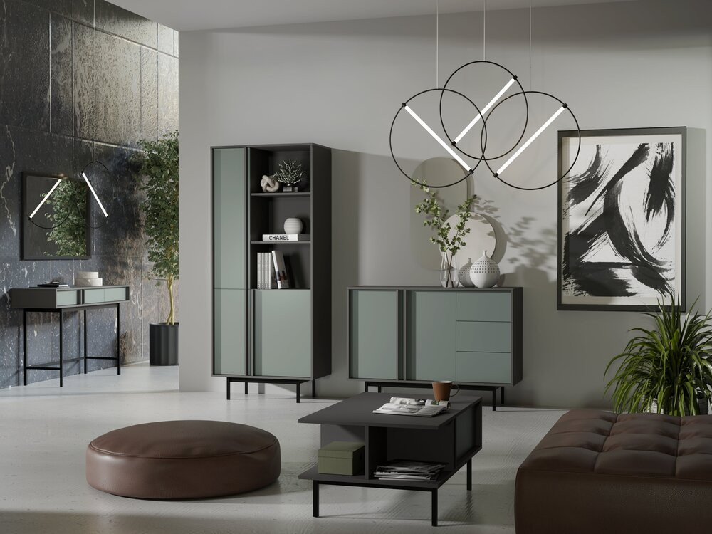 Półka wisząca na książki 110 cm ALSY - antracyt/aloes | Półki wiszące Desire Furniture