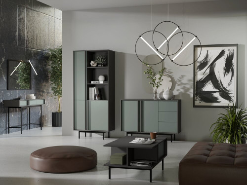 Półka wisząca na książki 110 cm ALSY - antracyt/aloes | Półki wiszące Desire Furniture