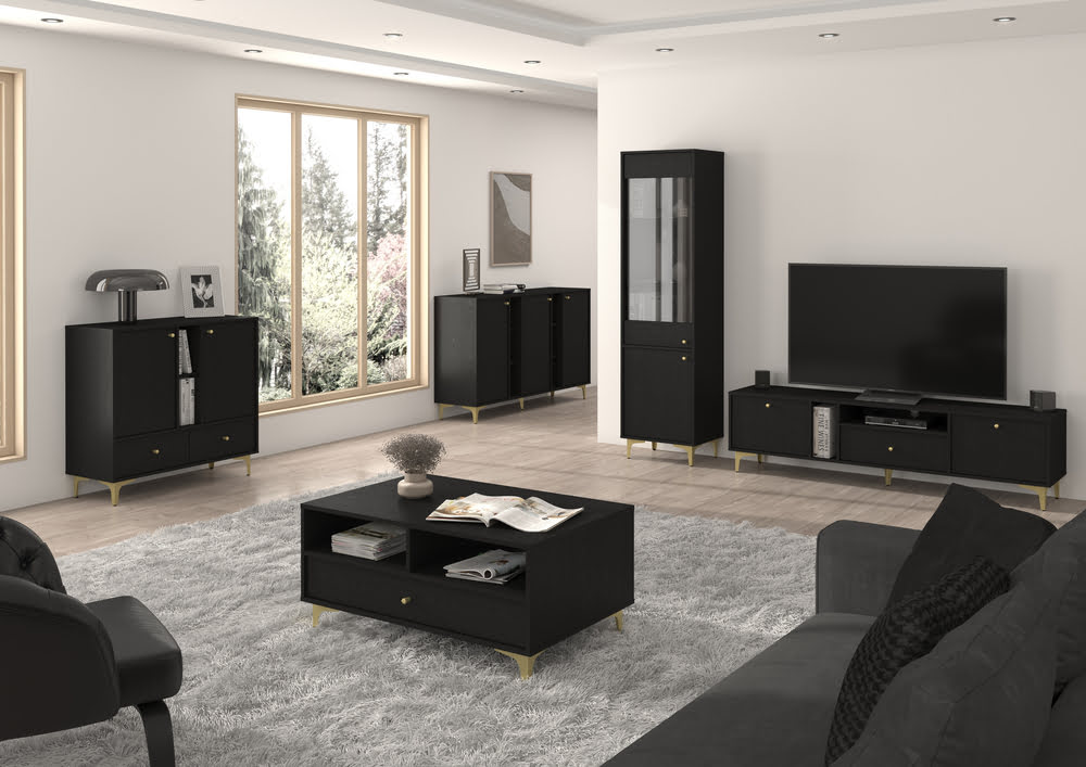 Dwudrzwiowa komoda z szufladami TOKYO 100 cm, do salonu, czarny grafit, nogi rozgwiazda Tokyo Desire Furniture Dwudrzwiowa komoda z szufladami TOKYO 100 cm, do salonu, czarny grafit, nogi rozgwiazda Tokyo Desire Furniture