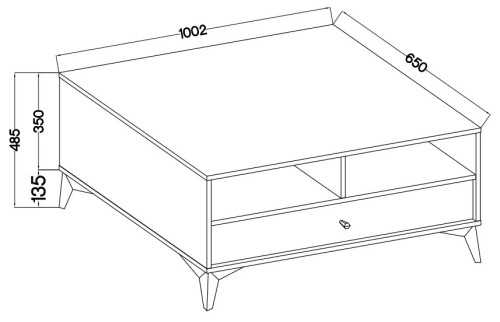 Prostokątny stolik kawowy TOKYO 100 cm, do salonu, eukaliptus, nogi rozgwiazda | Stoliki kawowe Desire Furniture