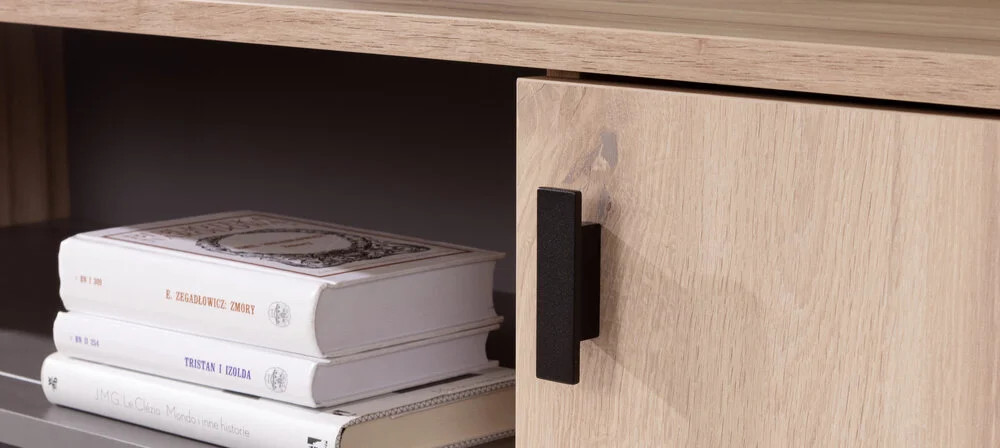 szafka RTV do salonu